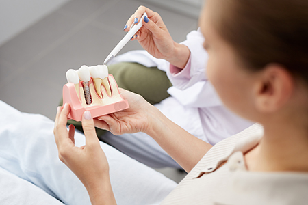 A dental professional holding up a model of a human tooth with a dental tool, examining it closely.